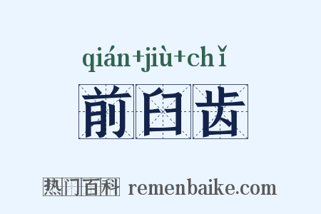前臼齿是什么意思的图片